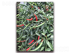 ʥ�r(n��ng)�t��ʯ10̖���콷-���콷�N��-ʥ�r(n��ng)�߿�