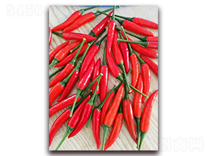 ʥ�r(n��ng)�t��ʯ04���콷-���콷�N��-ʥ�r(n��ng)�߿�