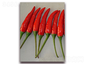 ʥ�r(n��ng)�t��ʯ01���콷-���콷�N��-ʥ�r(n��ng)�߿�