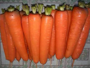 �t��606-�}���N��-����N��