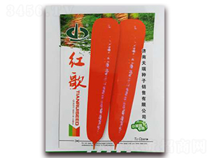 �t��-�}���N��-����N��