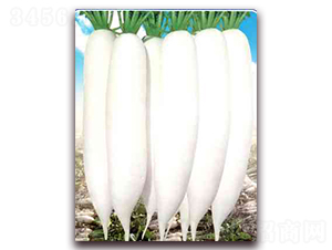 ������-�}���N��-����N��