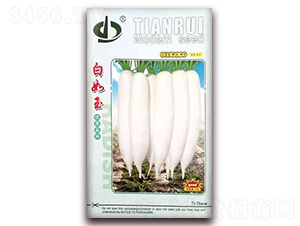 10g������-�}���N��-����N��