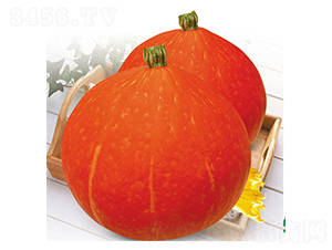 �tʥ-�ϹϷN��-ʒ�·N�I(y��)