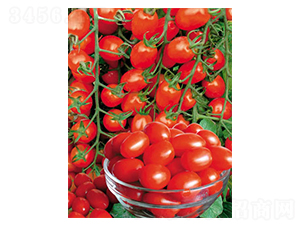 �ŵ���-���ѷN��-ʒ�·N�I(y��)