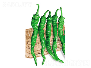 ��������-�����N��-ʒ�·N�I(y��)