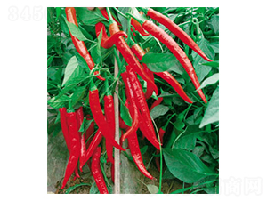 �ɴ�-�����N��-ʒ�·N�I(y��)