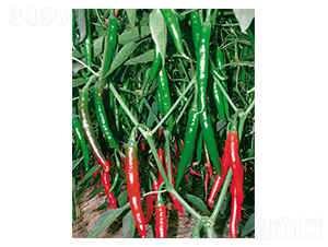 ī�G����-�����N��-ʒ�·N�I(y��)