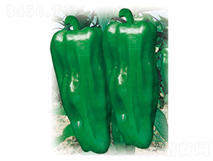 �����r(n��ng)��-�����N��-ʒ�·N�I(y��)