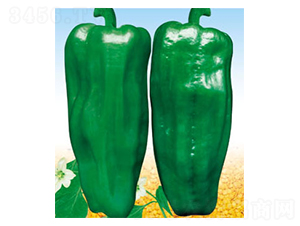 �r(n��ng)����̖(h��o)-�����N��-ʒ�·N�I(y��)