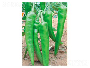 ���S-�����N��-ʒ�·N�I(y��)