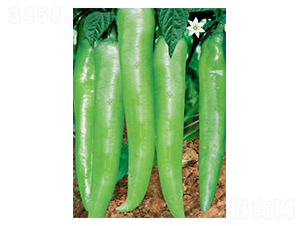 ����-�����N��-ʒ�·N�I(y��)