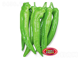 ˹����-�����N��-ʒ�·N�I(y��)