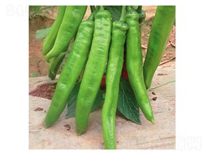 ʥ��-�����N��-ʒ�·N�I(y��)