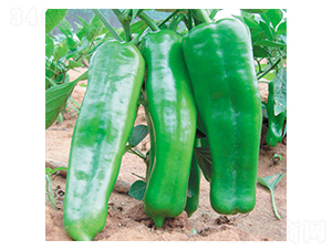 ���A���-�����N��-ʒ�·N�I(y��)