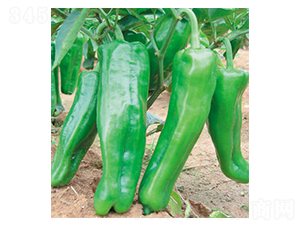 �PԽ-�����N��-ʒ�·N�I(y��)