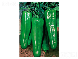 ����601-�����N��-ʒ�·N�I(y��)