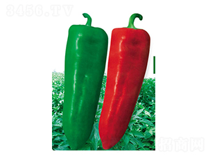 ��t��-�����N��-ʒ�·N�I(y��)