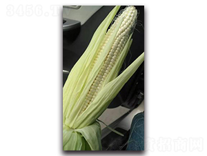 ����Ŵ9̖(h��o)-Ŵ���׷N��-����N��