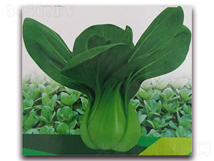 �A��-�๣�˷N��-����N��