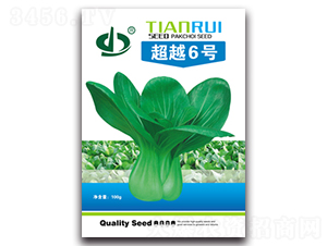 ��Խ6̖(h��o)-�๣�˷N��-����N��