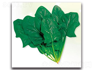 �ʼҾ���-���˷N��-����N��