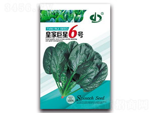 �ʼҾ���6̖-���˷N��-����N��