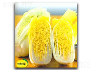 ��(qi��ng)ʢ-�ײ˷N��-����N��