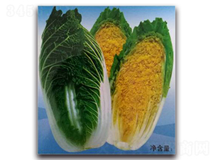 ���נ�-�ײ˷N��-����N��