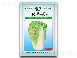 ��(y��u)��40-�ײ˷N��-����N��