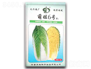 ����6̖(h��o)-�ײ˷N��-����N��