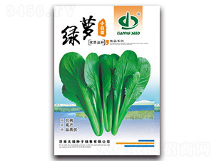 �G�}-�ײ˷N��-����N��