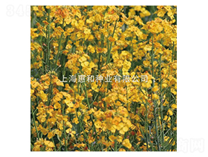 ����һ̖(h��o)-�Ͳ˷N��-�ݺͷN�I(y��)