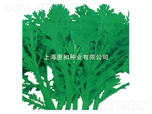 �����̖(h��o)-��շN��-�ݺͷN�I(y��)