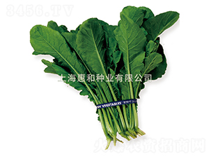 ��������-С�ɲ˷N��-�ݺͷN�I(y��)