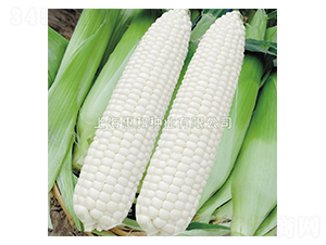 ������-���׷N��-�ݺͷN�I(y��)