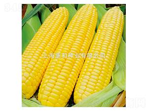 ������̖(h��o)-���׷N��-�ݺͷN�I(y��)