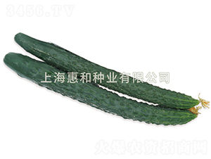 ���S��̖-�S�ϷN��-�ݺͷN�I(y��)