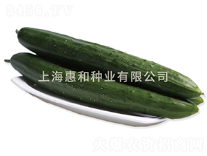 �S�s��̖-�S�ϷN��-�ݺͷN�I(y��)