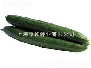 ��G��(ji��)����̖-�S�ϷN��-�ݺͷN�I(y��)