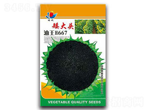 �����^����H667-�Ͳ˷N��-����