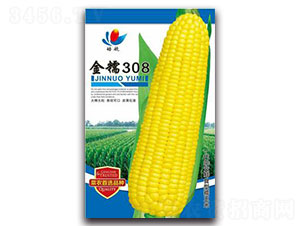 ��Ŵ308-Ŵ���׷N��-����