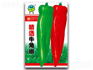 ���xţ�ǽ�-�����N��-����