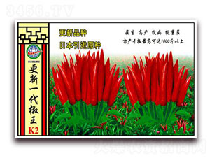 ����һ������-�����N��-����