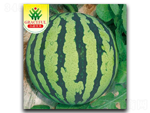 �_����̖-���ϷN��-��(y��u)���r(n��ng)�I(y��)