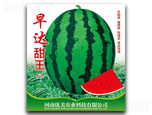 ���_����-���ϷN��-��(y��u)���r(n��ng)�I(y��)