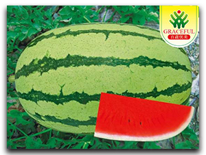 ���v��̖-���ϷN��-��(y��u)���r(n��ng)�I(y��)