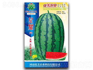 ��ҫ-���ϷN��-��(y��u)���r(n��ng)�I(y��)