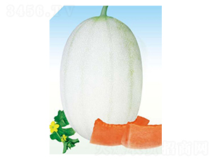 ��ɫ����-��ϷN��-��(y��u)���r(n��ng)�I(y��)