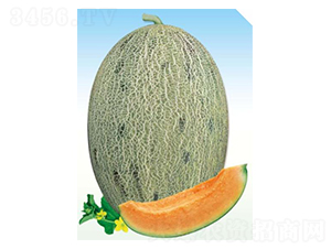 ��Ԋ�D-��ϷN��-��(y��u)���r(n��ng)�I(y��)